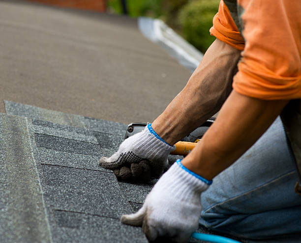 Best Local Roofing Companies  in Mead, CO